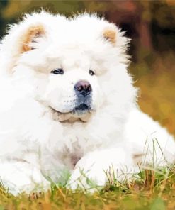 White Chow Chow Diamond Paintings