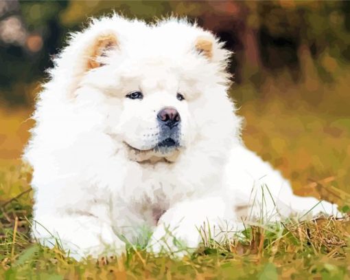 White Chow Chow Diamond Paintings