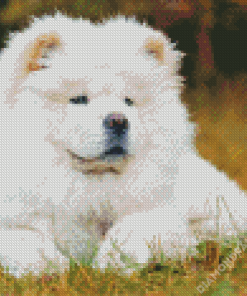 White Chow Chow Diamond Paintings