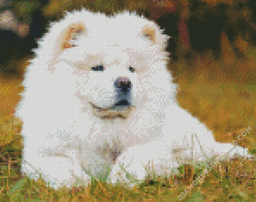 White Chow Chow Diamond Paintings