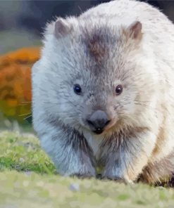 Wombat Animal Diamond Paintings