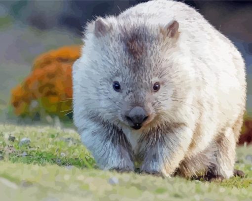 Wombat Animal Diamond Paintings