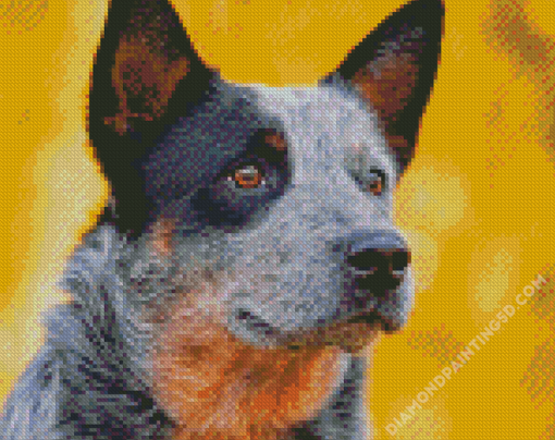 Australian Cattle Dog Outdoors Diamond Paintings