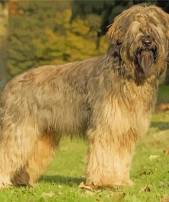 Beige Briard Dog Diamond Paintings