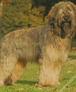 Beige Briard Dog Diamond Paintings