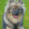 Beige and Black Keeshond Diamond Paintings