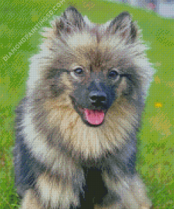 Beige and Black Keeshond Diamond Paintings