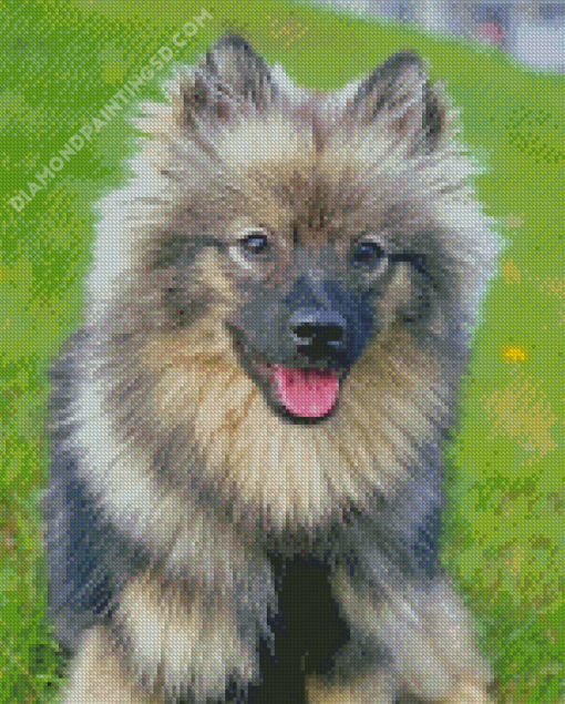 Beige and Black Keeshond Diamond Paintings