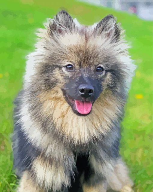 Beige and Black Keeshond Diamond Paintings