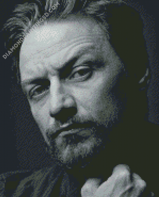 Black And White James McAvoy Diamond Paintings