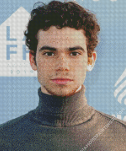 Cameron Boyce Actor Diamond Paintings