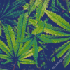 Cannabis Plant Leaves Diamond Paintings