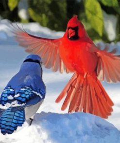 Cardinal And Blue Jay Birds Diamond Paintings