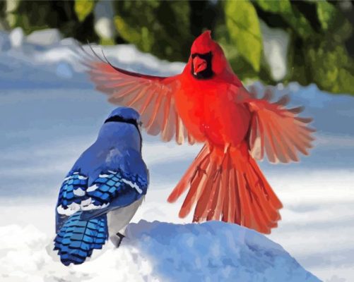 Cardinal And Blue Jay Birds Diamond Paintings