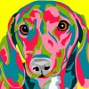 Dachshund Dog Colorful Diamond Paintings