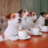 Dogs And Coffee Diamond Paintings