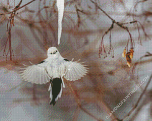 Flying Long Tailed Tit Diamond Paintings