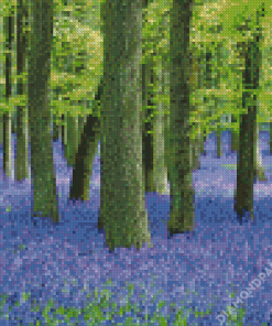 Forest With Bluebells Diamond Paintings