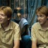 Fred And George Weasley Characters Diamond Paintings