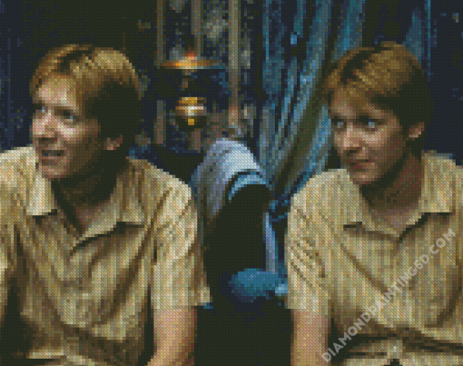 Fred And George Weasley Characters Diamond Paintings