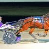 Harness Racing Diamond Paintings