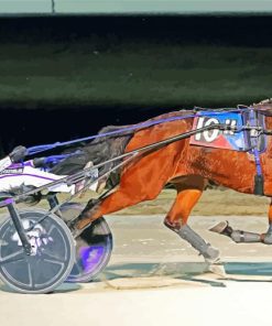 Harness Racing Diamond Paintings