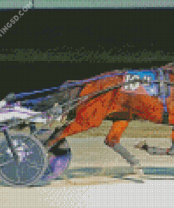 Harness Racing Diamond Paintings