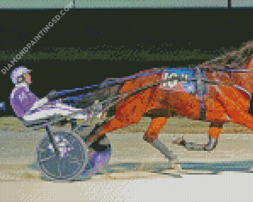 Harness Racing Diamond Paintings