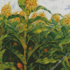 Kansas Cornfield John Steuart Curry Diamond Paintings