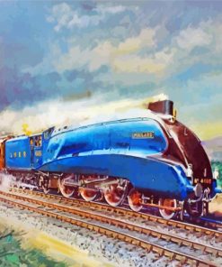 Mallard Train Art Diamond Paintings