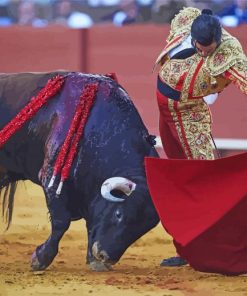 Matador And Bull Fight Diamond Paintings