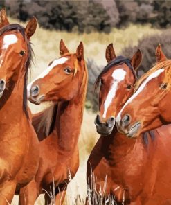 Native Brown Horses Diamond Paintings