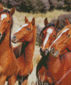 Native Brown Horses Diamond Paintings