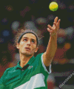 Pierre Hugues Herbert With Tennis Ball Diamond Paintings