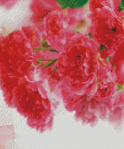 Pink Carnation Diamond Paintings