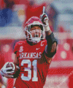 Player Number 31 Arkansas Razorbacks Diamond Paintings