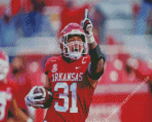 Player Number 31 Arkansas Razorbacks Diamond Paintings