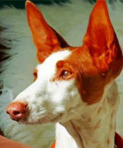 Podenco Dog Head Diamond Paintings