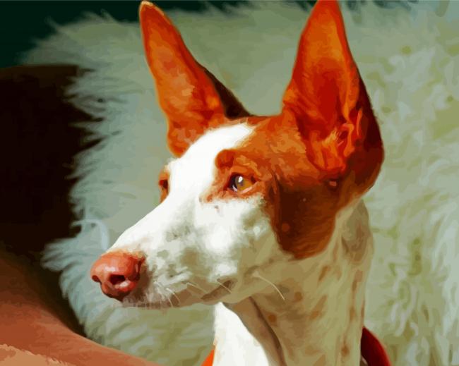 Podenco Dog Head Diamond Paintings