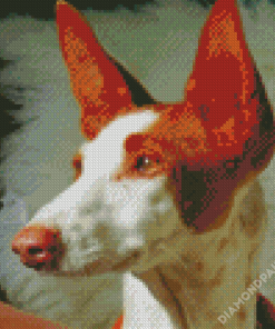 Podenco Dog Head Diamond Paintings