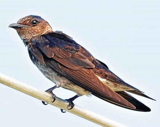 Purple Martin Diamond Paintings