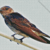 Purple Martin Diamond Paintings