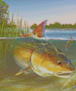 Redfish Drum Diamond Paintings