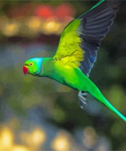 Rose Ringed Parakeet Bird Flying Diamond Paintings