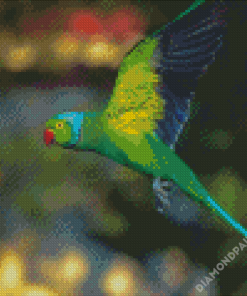 Rose Ringed Parakeet Bird Flying Diamond Paintings