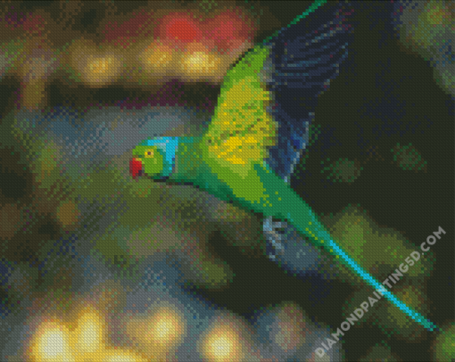 Rose Ringed Parakeet Bird Flying Diamond Paintings