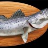 Sea Trout Fish Diamond Paintings