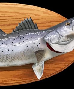 Sea Trout Fish Diamond Paintings