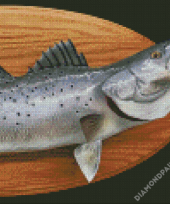 Sea Trout Fish Diamond Paintings