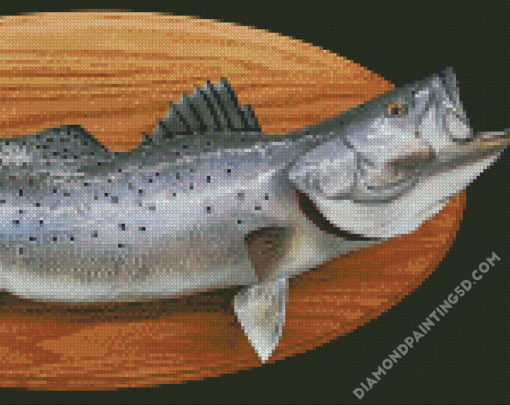 Sea Trout Fish Diamond Paintings